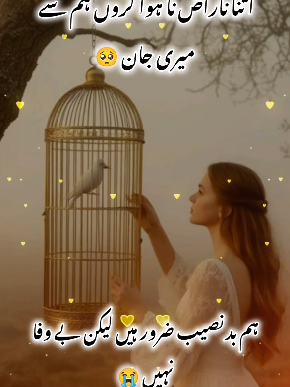 Itna Naraz Na Howa Karo Meri Jan#unfreezemyaccount #fyp #foryoupage #urdupoetry #urdushayari 