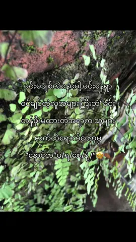 🤩#fypシ゚ #fypရောက်စမ်း #fouryoupage #fyppppppppppppppppppppppp #views 