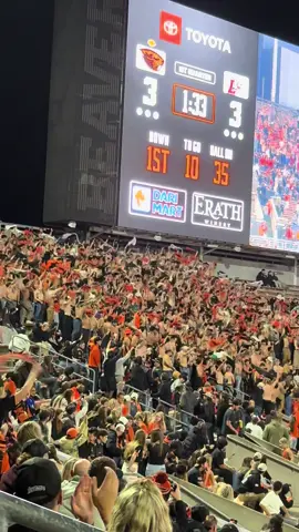 #gobeavs 