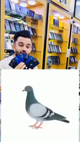 #Stop #challenge #Foryoupage #pleasegoviral #unfreezemyacount @ZAMELECT.PROPERTIES @Zamzam-brother-official 