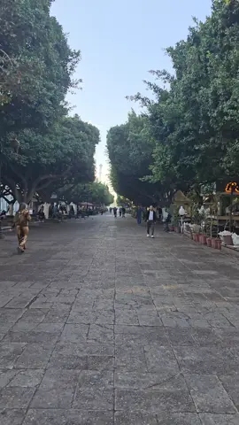 جماعة عنابة إكتبولنا شنيا الأكلات اللي لازم نجربوها بحذاكم و الأماكن السياحية اللي لازم نزوروها ؟ 