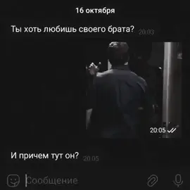 #brain #Dexter #братья  #rec 
