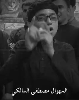 #هوسات #كاب_كات #اعادة_النشر🔃 #تصميم_فيديوهات🎶🎤🎬 