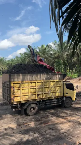 Bak nya halus🤣 #fypシ゚ #drivermuda #trukkalimantan #drivermudapunyacerita #banjarmasinbungas 