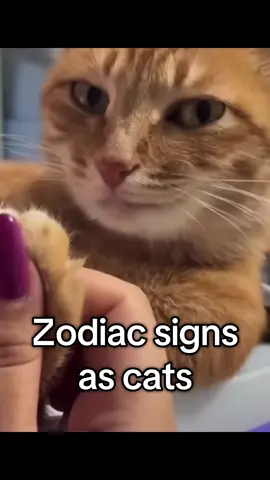 #fyp #pov #viral #CapCut #foryou 