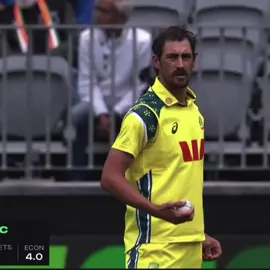 Michell Strac Blowing In 2k60fps 👀....... #cricket #cricketlover #cricketworldcup #ausvsind #foryou 