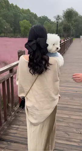 #thoitrangnu #tocgia #xh 