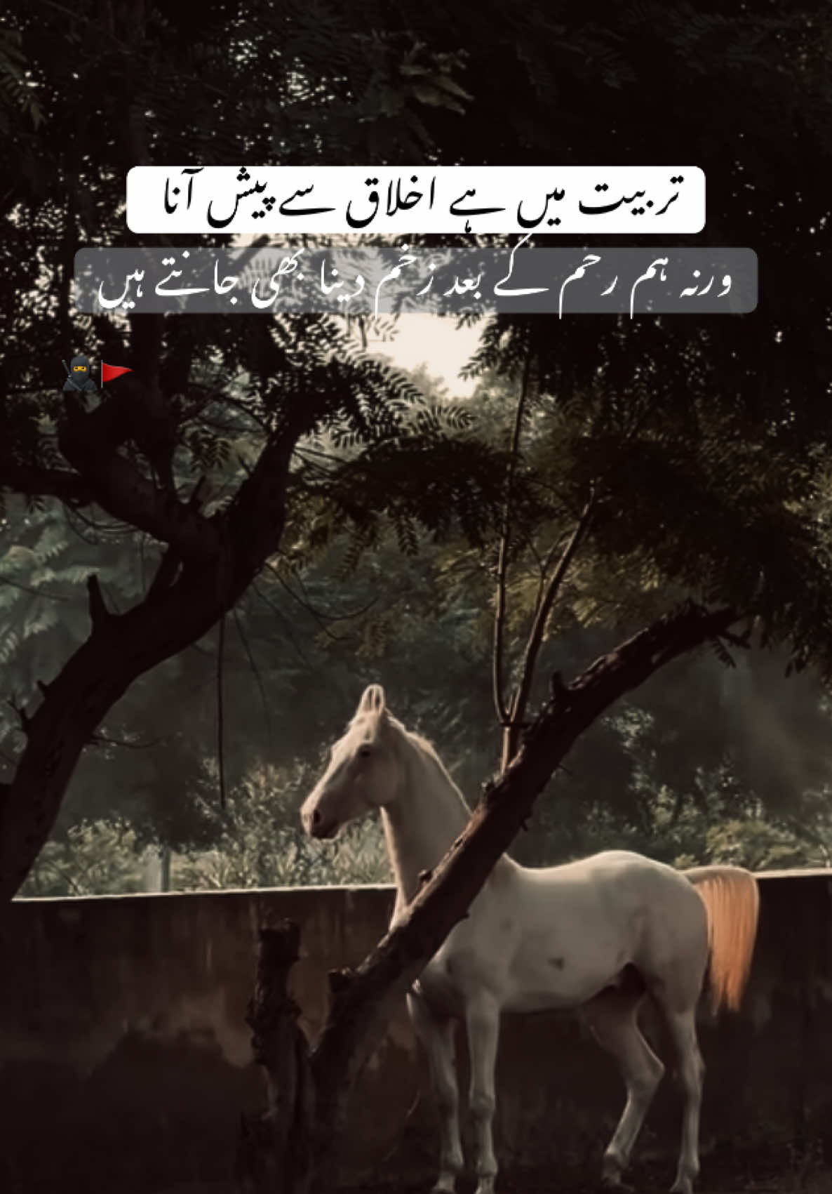 HAN G💀’ . . . #foryoupage #viraltiktok #sultanwrite34 #millionviews #unfrezzmyaccount 