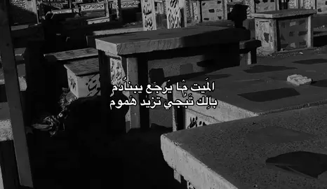 #مالي_خلق_احط_هاشتاقات 