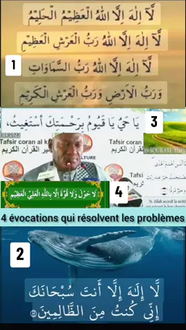 4 évocations qui résolvent les problèmes Imam Abdoulaye Koita #tiktokmali🇲🇱223 