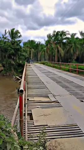 owner kunfayakun pusing le: efek sawit Trek @Bondan @Harahap barangna #fypviraltiktok🖤シ゚☆♡ #truksawitsumatra #supirtruck #drivermuda😎 #senggoldonkシ🖤😎🤙🤙 
