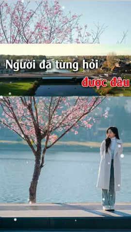 Người  đã  từng  hỏi  ta đến  với  nhau  thế  nào... #nhactamtrang #sad #nhachaymoingay #nhaclyrics #suhuongtiktok 