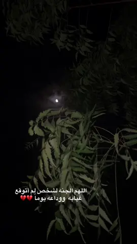 - من بعدك يا فقيدي والحنين المستمر ، أسال الله أن يجمعني بك في جنات النعيم لقاء يُخمد مايتجرعه .. الفاقد 