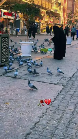 #الامام_الكاظم_عليه_السلآم #العتبه_الكاظميه 