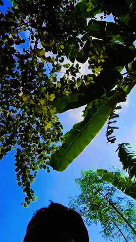 শুভ দুপুর বেলা বন্ধুরা🌹🌹🌹🌹🌹❤️❤️❤️