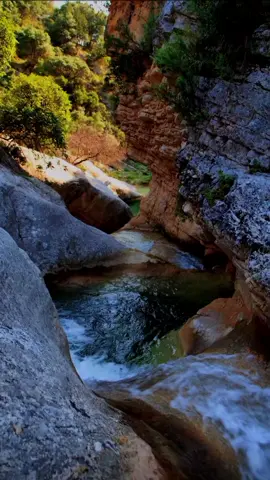 وہی دسور ہو گیا  chalti hain dil may hukumatain  #urdu #poetry #shayari #status #sufisays 