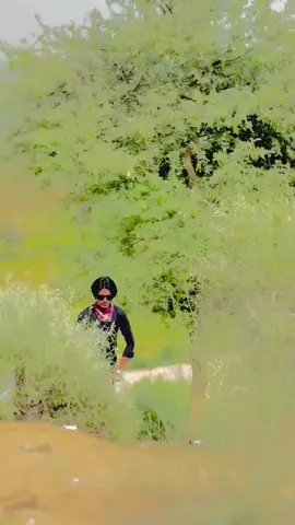 #tiktok #repost #Alfani #trending 