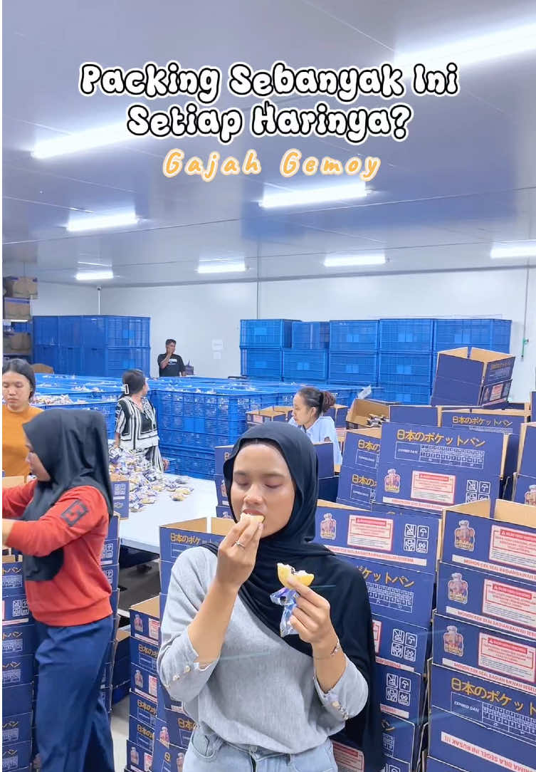 Sebanyak ini packingan setiap hari guys🤤🤤#rotigulung #rotisaku #gajahgemoy #fyp #promoseruweekend 