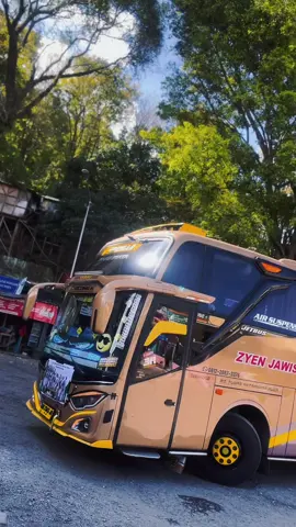 zyen jawisata “Grizelle” #busmania #zyenjawisata #videobus #fyppppppppppppppppppppppp #masukberanda 