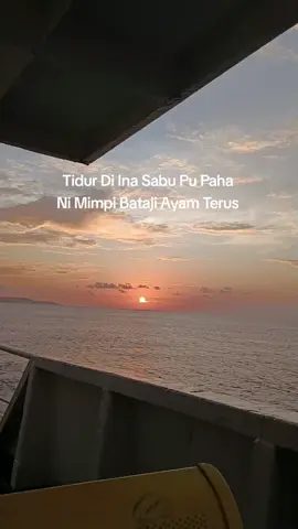 🤣🤣🤣 #nttpride🏝🔥 #inasabumanise🖤😇 #saburaijua #lewatberanda #fyppp 