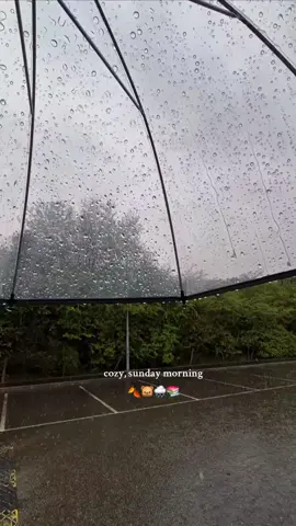 The coziest days are the rainy ones 🌧📚🐻 #cozytok #autumntok #fallvibes🍂 #autumnmood #autumnvibes🍁 