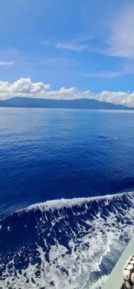 selalu bersyukur 🤲🙏 #subhanallah❤️  #alhamdulillah 