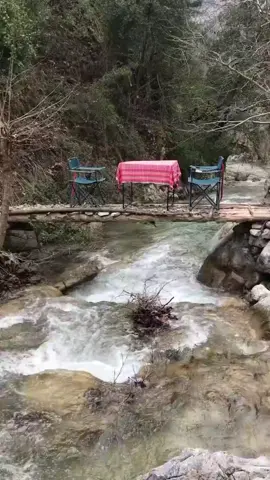 عزلة بعيد عن ضجيج المدينة...😌 اجمل فطور في قلب الطبيعة...🏕...🏞...☕️...🔊...😍