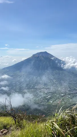 View secakep ini rugi kalau cuma rebahan dirumah😍 #sindoro #sindoroviaalangalangsewu #sindoro3153mdpl 