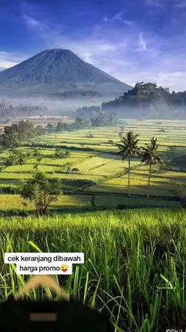 PROMO Setelan kaos motif Distr#promo #fyp #celanamurah 