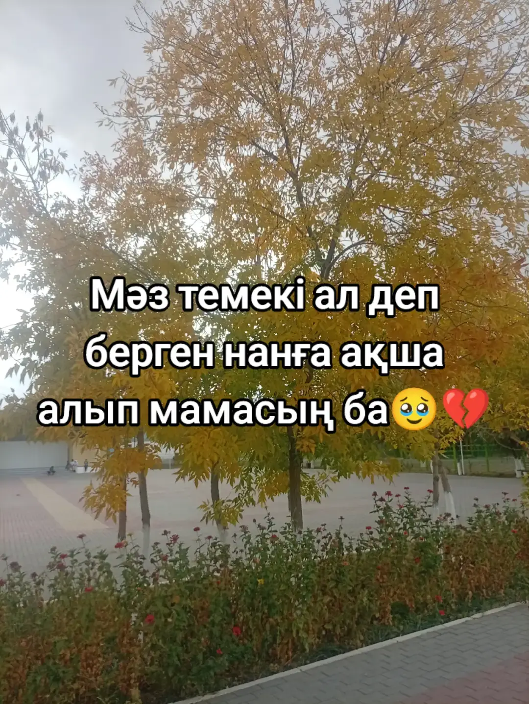 #реккешығарыпжберіңдерш 