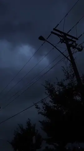 cold .  .  .  #rainyday #calming #darknature #peaceful  #cold 