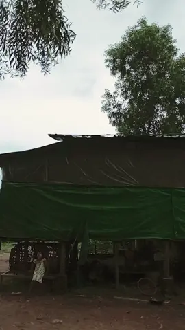 #အကိုများနဲ့ဂယက်ထားခြင်း#နောက်ဆုံးကလူကသေp#ချစ်စရာလေးမလား🙈 #ဂယက်ပါဟယ်😂😂 #viraltiktok 