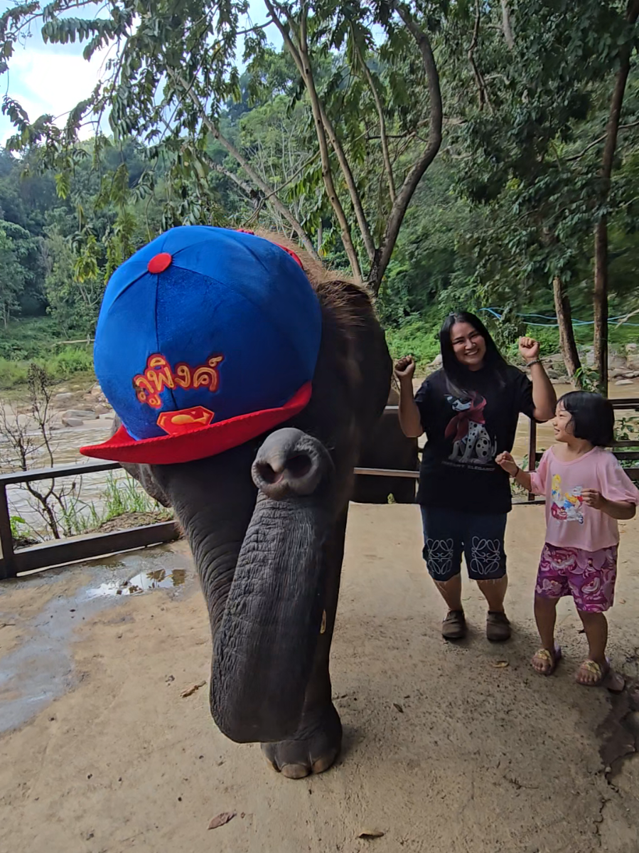 อ้วนภูพิงใส่ชุดแล้วทรงพลังครับ เต้นสนุกครับ😍😍🥰❤️🐘❤️❤️