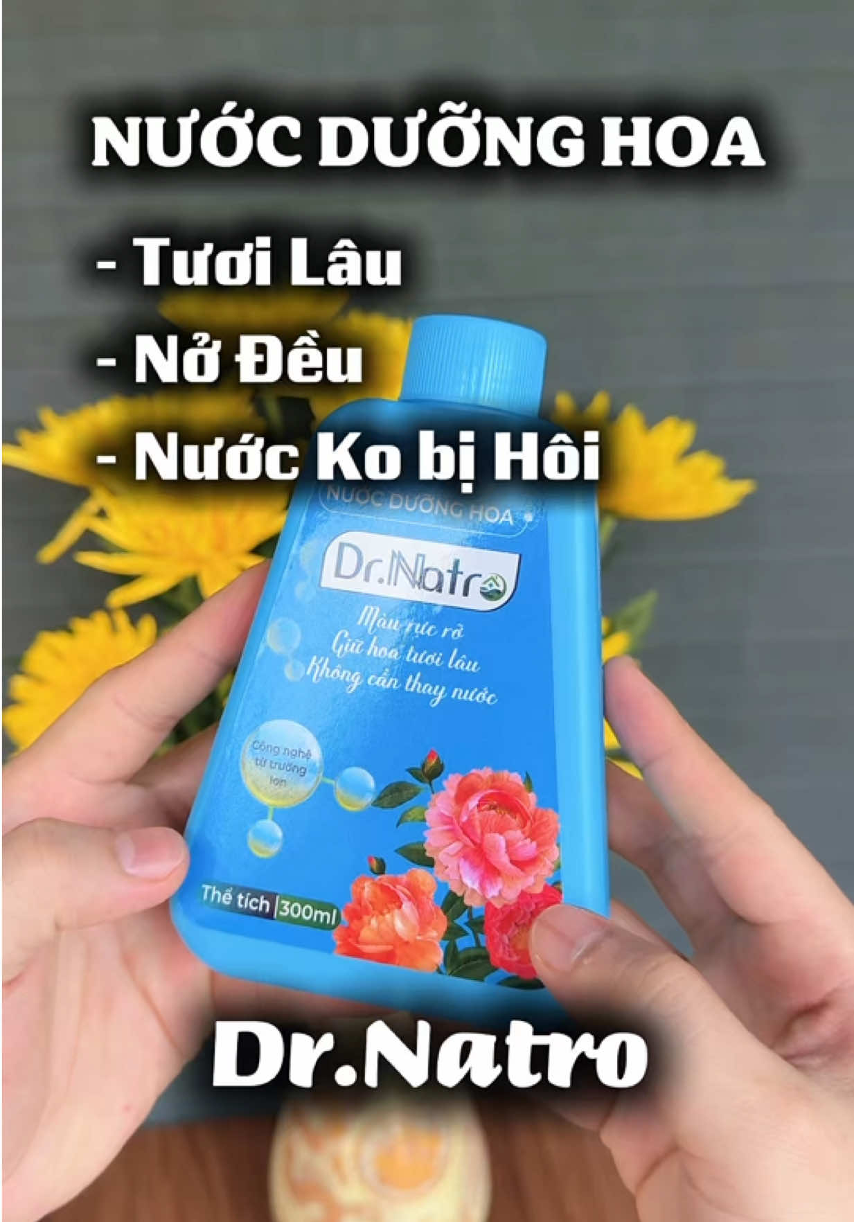 Có Nước Dưỡng Hoa này tiện lợi hẳn. Đỡ tốn công thay nước, mà hoa tươi được lâu. Và đặc biệt không bị HÔI nữa #nuocduonghoa #nuocduonghoadrnatro #nuocduonghoatuoilau #viral #giadungtienich 