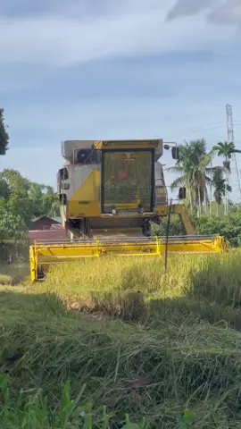 #8070newholland🌾🌾🌾 #fyppppppppppppppppppppppp 😎@mey 