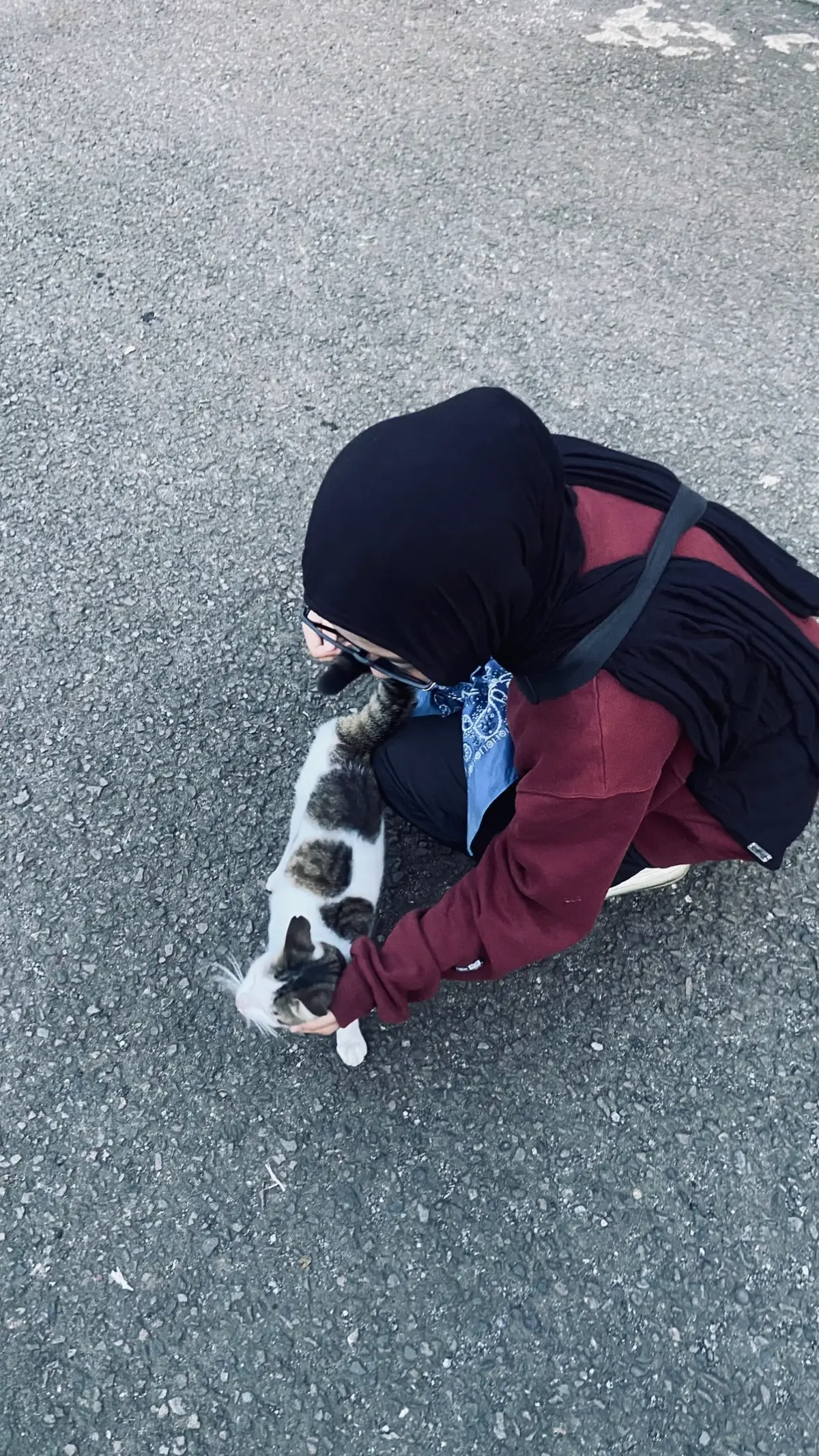 #fyp #moots? #xyzbca 