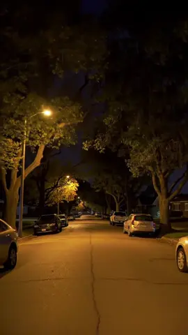 3 am walk #us #🇺🇸 #canada🇨🇦 #dream #neighbors 