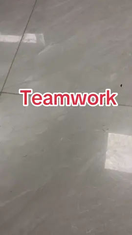 Teamwork 1 min ago#teamwork #teamworktrend #mutuals #moots? 