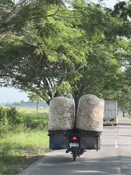 Bojonegoromu bagian ndii wooo#bojonegoro24jam #bjn24jam #bahanstory #fyp 