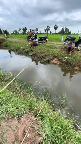 កំសាន្តចុងសប្ដាហ៍ #fishing #fyp #ស្ទូចត្រី #tiktok 
