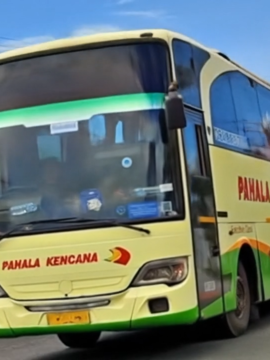 nostalgia bus lewat AI..kenangan PO.Pahala Kencana, adakah yg punya kenangan naik bus legend yg satu ini?,.. #nostalgia #kenangan #busmania #fyp #masukberanda 