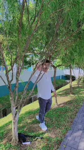 #creatorsearchinsigh #memoriesbringback 