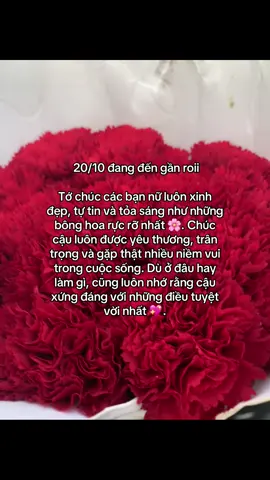 Nhớ nhee#20thang10 #ngayphunuvn2025#xhh #