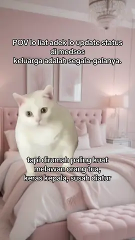 #MemeCut #fyp #memestiktok #memelucu #Meme 