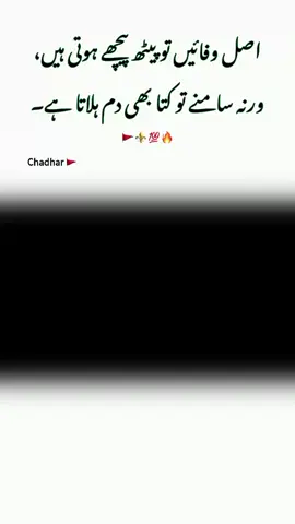 repost Plz #urdupoetry #foryoupage 