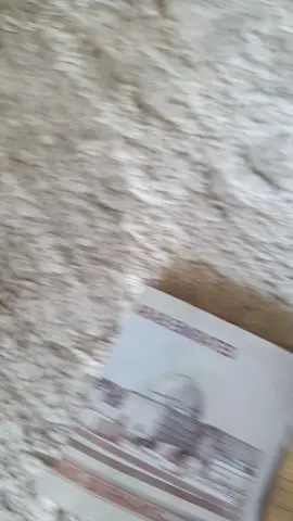 🤭🤭