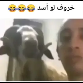 #شعب_الصيني_ماله_حل😂😂 #محضوره_من_الاكسبلور_والمشاهدات #ششونيي🔫🥺😹💞، 
