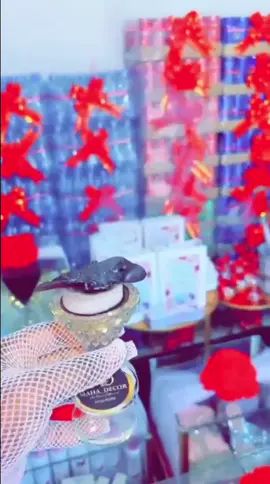 #tchadienne🇹🇩 #abechegeographique🇹🇩🇹🇩🇹🇩 