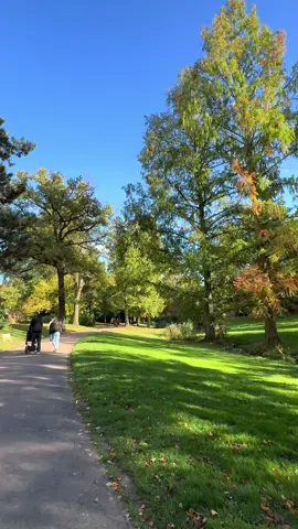 حنيت إلك بالحلم….😔🍁🍂🍁المانيا🍁🍂🍁 #اغاني_عراقيه #خريف #المانيا #بغداد #العراق 