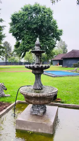 Easy Like Sunday Morning 💚